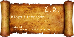 Blaga Ulisszesz névjegykártya